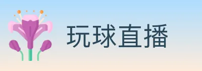 玩球直播 logo